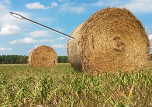 needle-in-a-haystack-1706106_1920